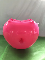 Inflatable Beach Ball Shorts – 24 inch PVC